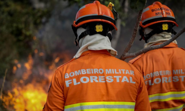 Mato Grosso registra 24 incêndios em combate e 83 focos de calor ativos